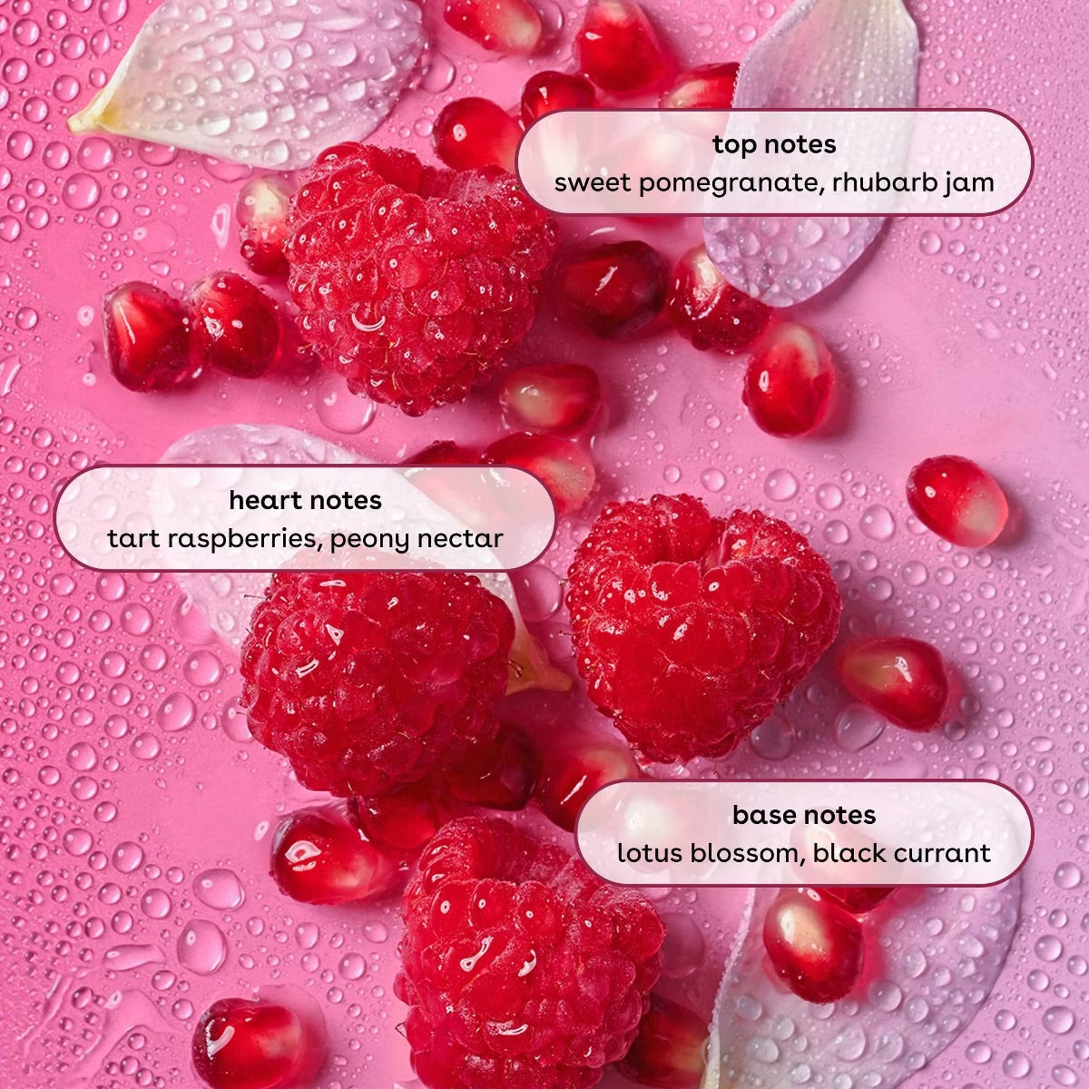 eos Cashmere Body Wash - Pomegranate Raspberry - 16 fl oz: Vegan, Dye-Free, Gel Form, Sensitive Skin