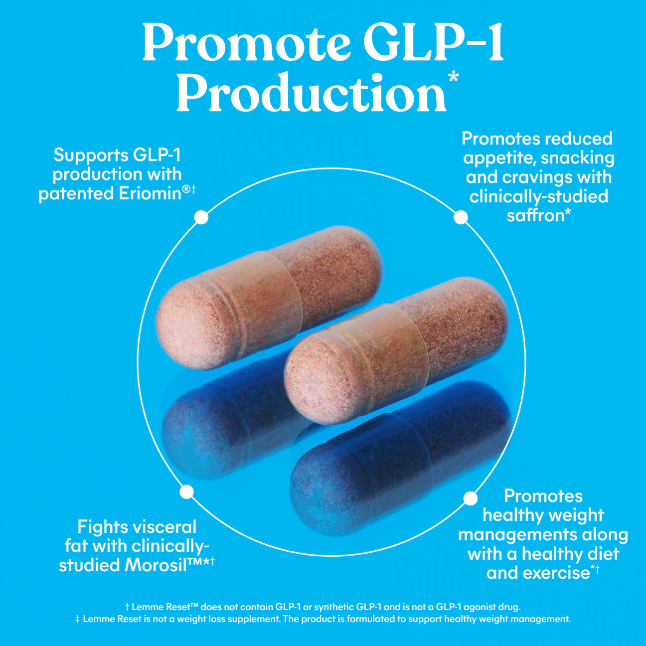 Lemme GLP-1 Daily