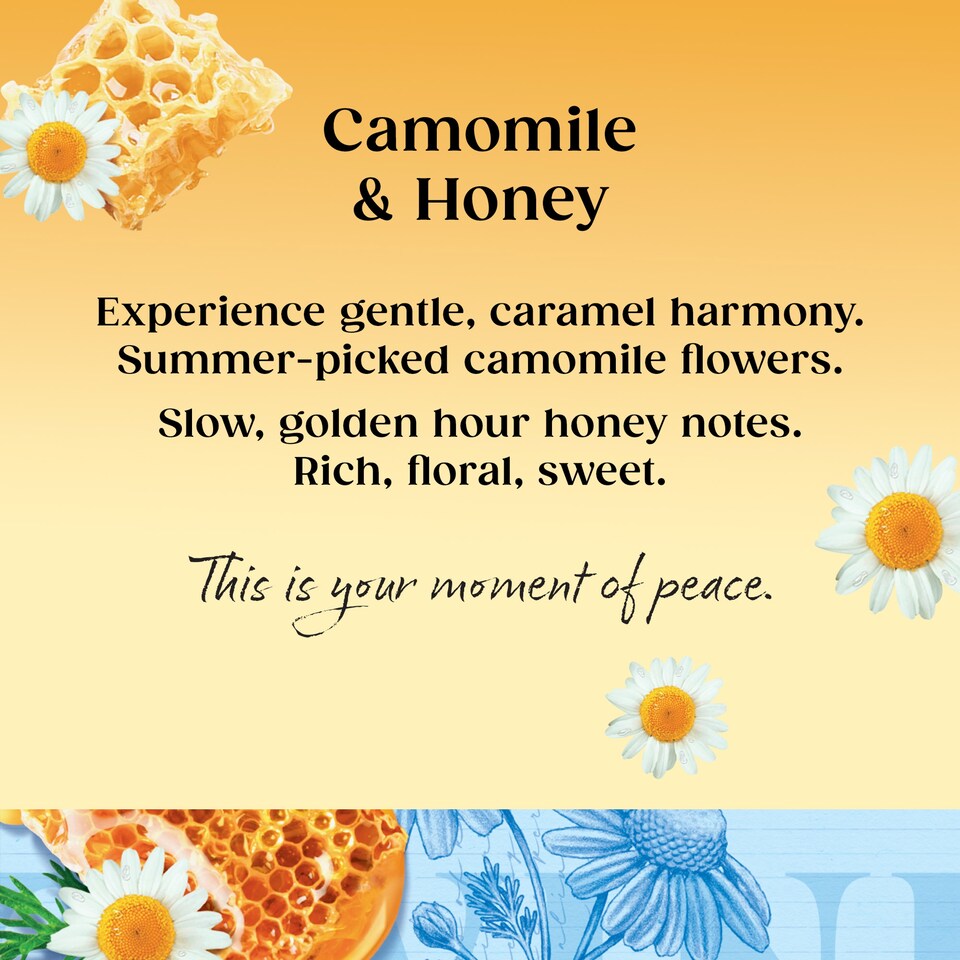 Twinings Camomile & Honey Tea Bags 20 Pack 30g
