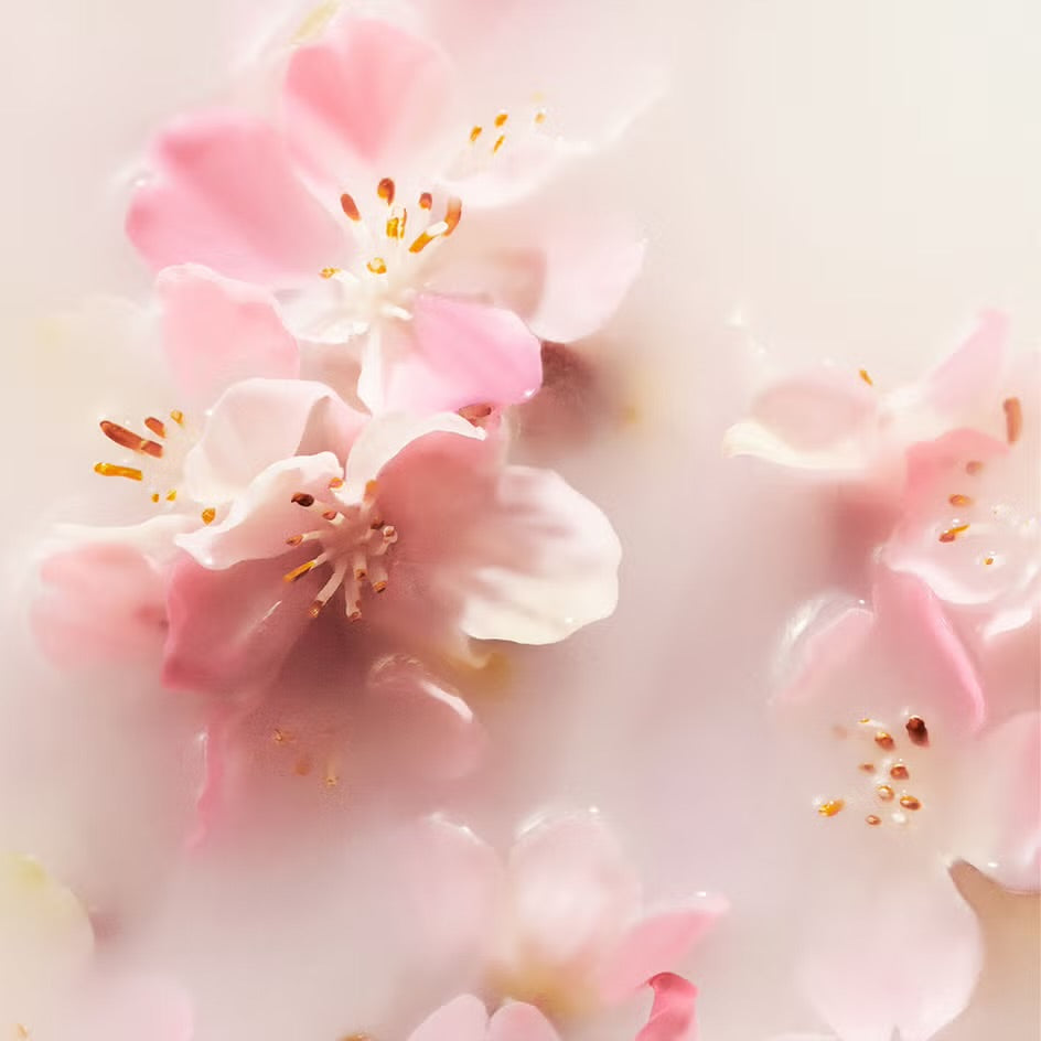 RITUALS - THE RITUAL OF SAKURA RICE MILK & CHERRY BLOSSOM REED DIFFUSER 250ML