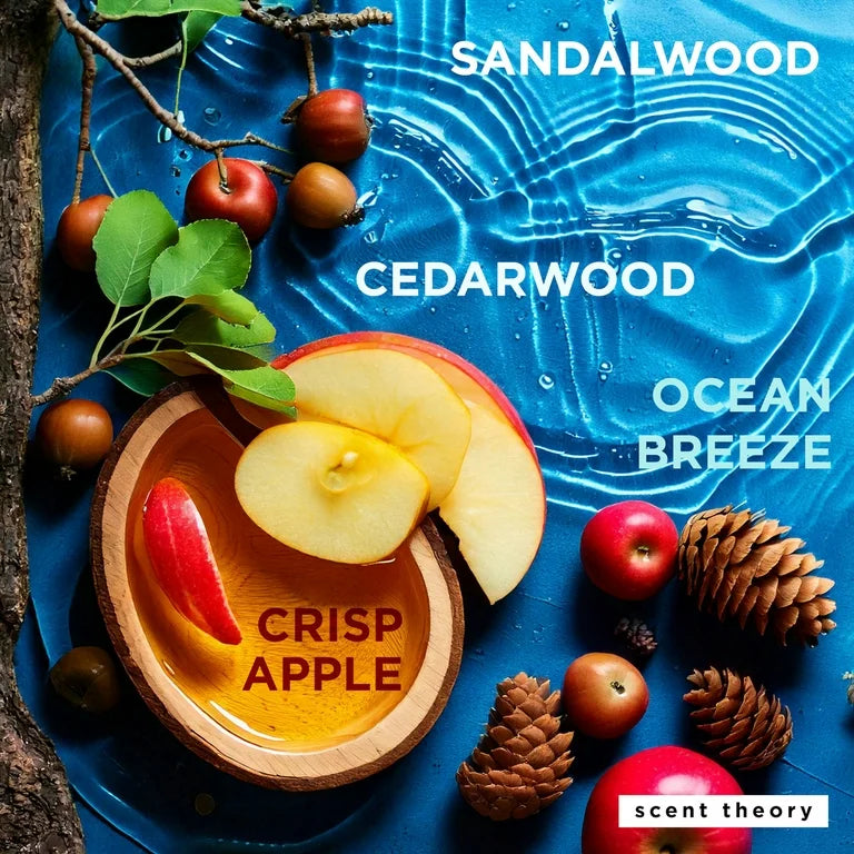 Scent Theory Hand Sanitizer Spray - 1 fl oz